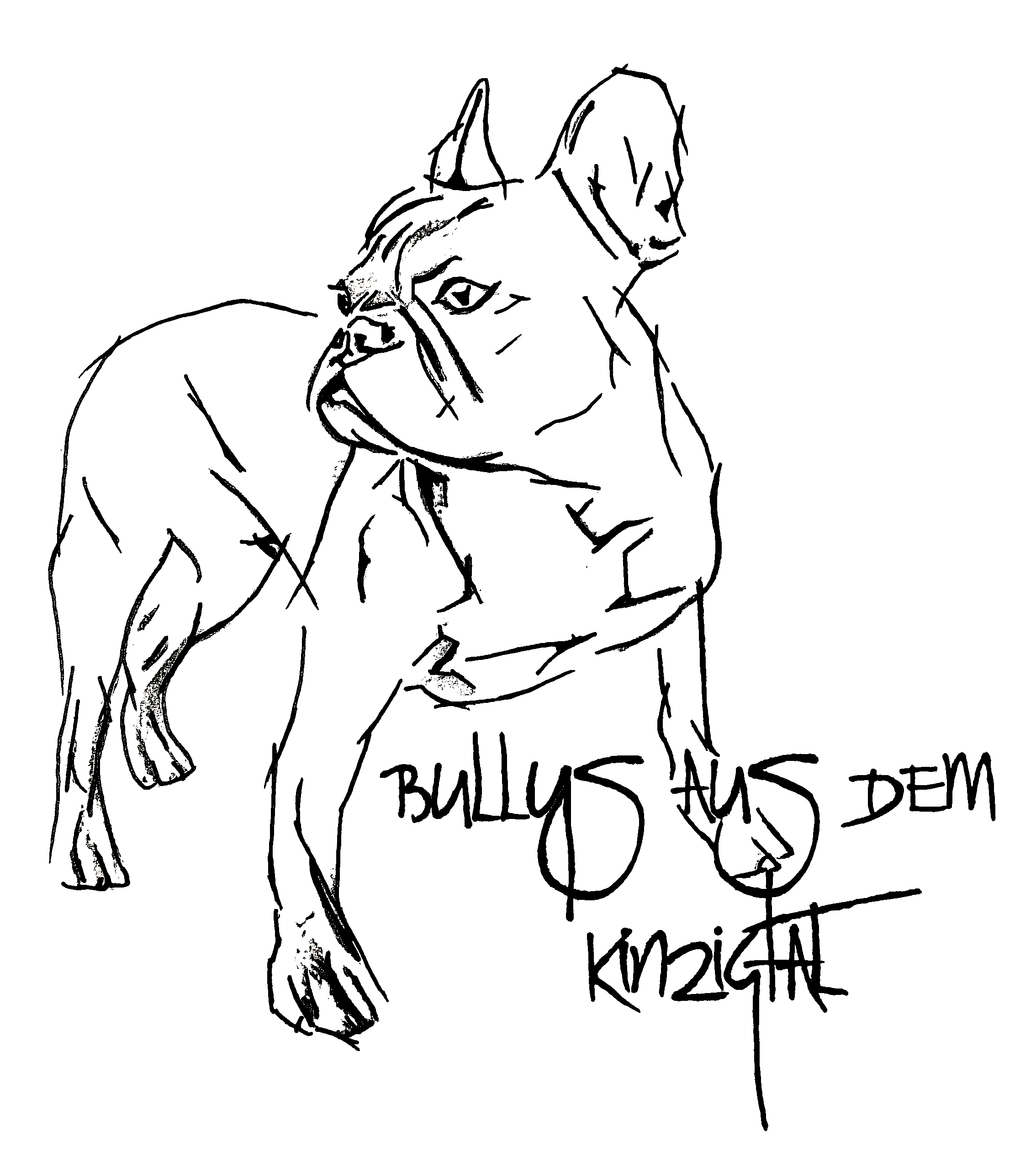 Bullys aus dem Kinzigtal – Logo